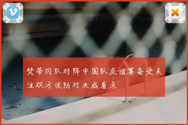 梵蒂冈队对阵中国队友谊赛备受关注双方攻防对决成看点